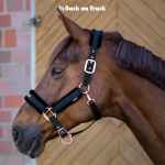 Picture of BACK ON TRACK EQUINE HAZE HALTER BLACK ROSE GOLD - Cob Size