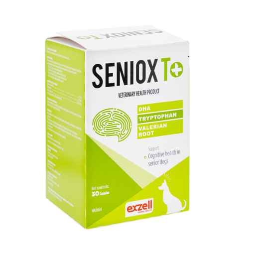 Picture of SENIOX T+ CAPS - 30's