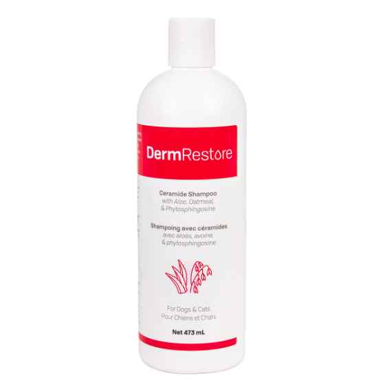 Picture of DERMRESTORE CERAMIDE SHAMPOO - 473ml 