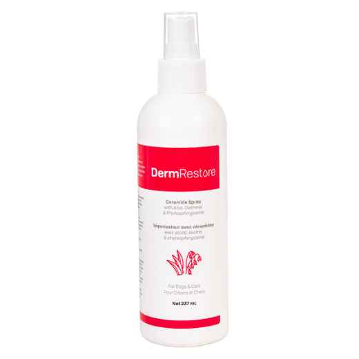 Picture of DERMRESTORE CERAMIDE SPRAY - 237ml 