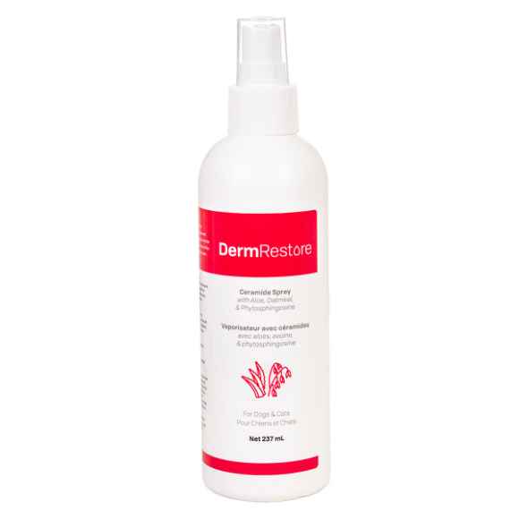 Picture of DERMRESTORE CERAMIDE SPRAY - 237ml 