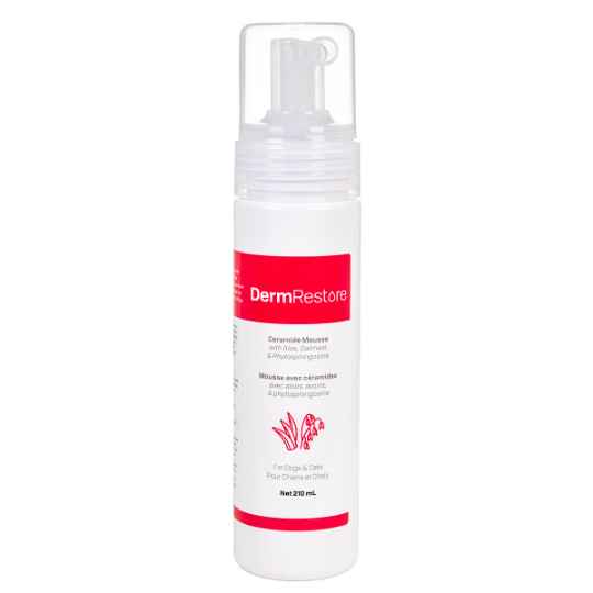 Picture of DERMRESTORE CERAMIDE MOUSSE - 210ml 