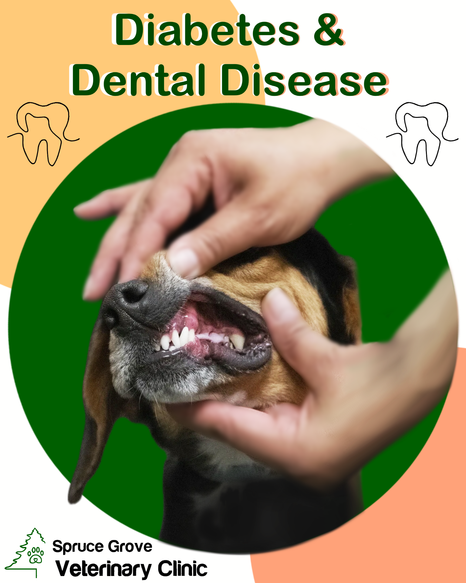 Picture for category Canine Dental Chews