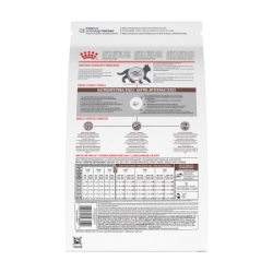 Picture of Royal Canin Veterinary Diet GASTROINTESTINAL Kitten Cat Food - 341gm