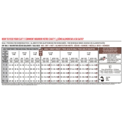 Picture of Royal Canin Veterinary Diet GASTROINTESTINAL Kitten Cat Food - 341gm