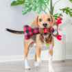 Picture of XMAS HOLIDAY CANINE POWER PLUSH Reindeer Bone - 10.5in 