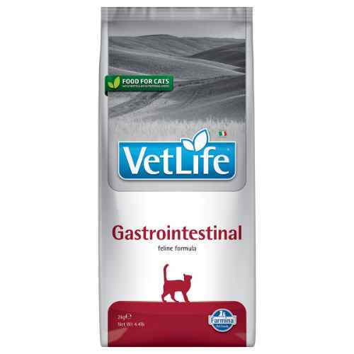 Picture of FELINE FARMINA VETLIFE Gastrointestinal Dry Food - 4.4lbs / 2kg(short dated)(so)