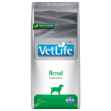 Picture of CANINE FARMINA VETLIFE Renal Dry Food - 4.4lbs / 2kg