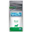 Picture of CANINE FARMINA VETLIFE Renal Dry Food - 26.4lbs / 12kg