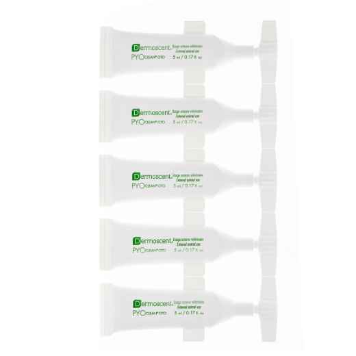 Picture of DERMOSCENT PYOCLEAN OTO for DOGS/Cats & Rabbits - 10 x 5ml