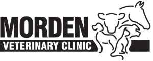 Morden Veterinary Clinic