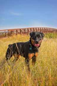 Picture for category Accessories