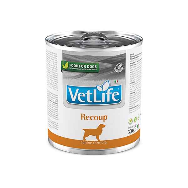 Picture of CANINE FARMINA VETLIFE Recoup  - 6 x 300g cans