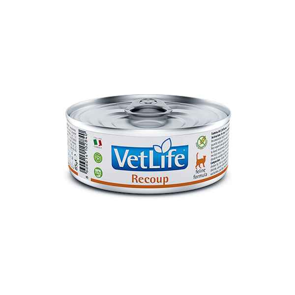 Picture of FELINE FARMINA VETLIFE Recoup - 12 x 85g cans