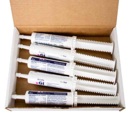 Picture of ACUTE GI ORAL PASTE - 5 x 80cc