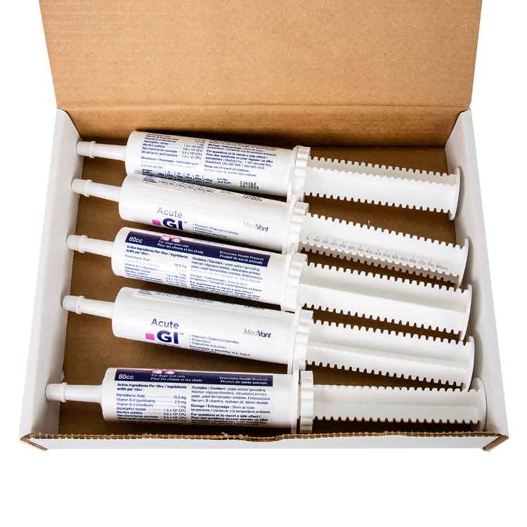 Picture of ACUTE GI ORAL PASTE - 5 x 80cc