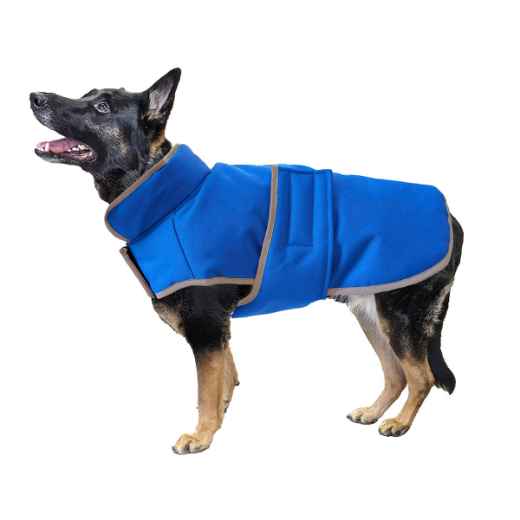 Picture of COAT CANINE BLANKET COAT Royal Blue - Medium