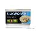 Picture of EXO TERRA Canned Silkworm Pupea - 34g/1.20oz