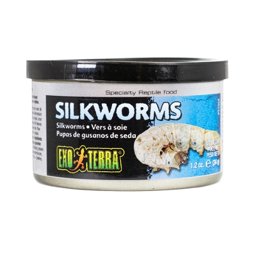 Picture of EXO TERRA Canned Silkworm Pupea - 34g/1.20oz