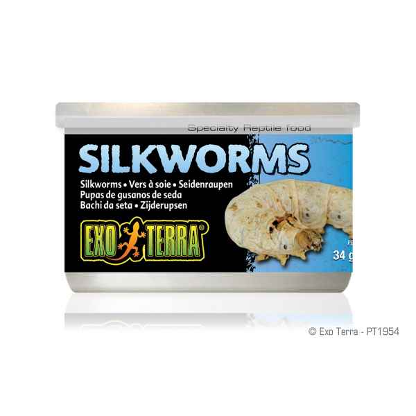 Picture of EXO TERRA Canned Silkworm Pupea - 34g/1.20oz