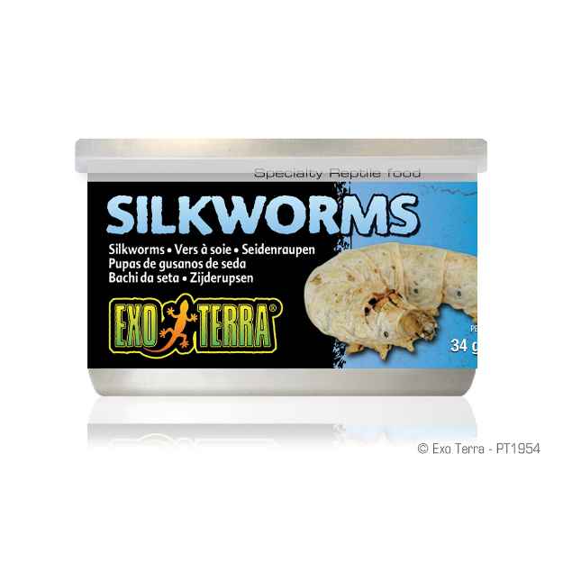 Picture of EXO TERRA Canned Silkworm Pupea - 34g/1.20oz