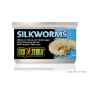 Picture of EXO TERRA Canned Silkworm Pupea - 34g/1.20oz