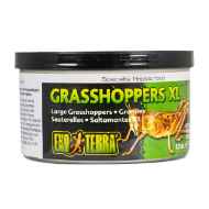 Picture of EXO TERRA Canned Grasshoppers XL - 34g/1.20oz