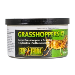 Picture of EXO TERRA Canned Grasshoppers XL - 34g/1.20oz
