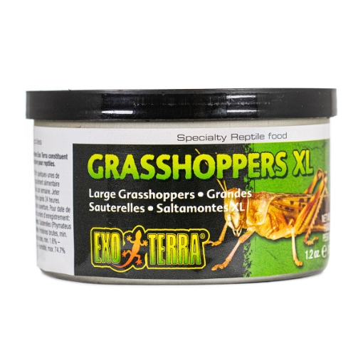 Picture of EXO TERRA Canned Grasshoppers XL - 34g/1.20oz