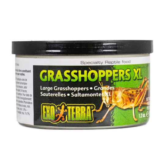 Picture of EXO TERRA Canned Grasshoppers XL - 34g/1.20oz