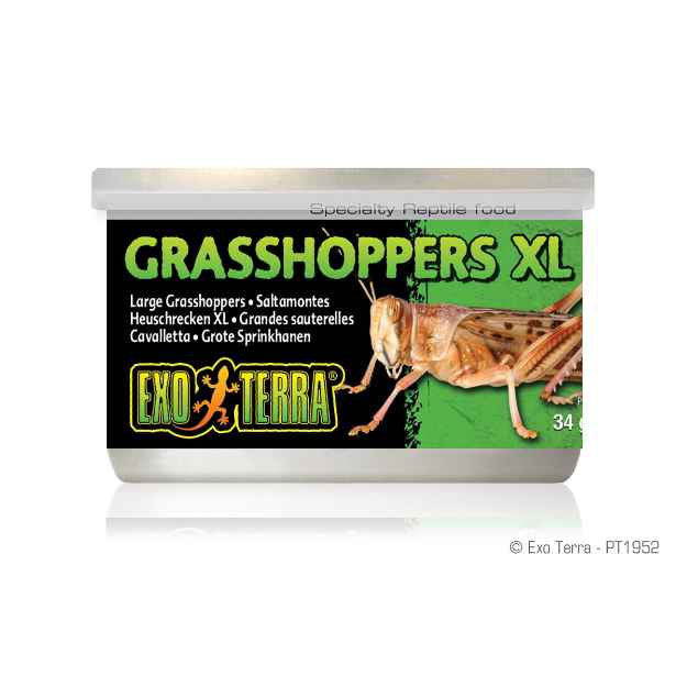 Picture of EXO TERRA Canned Grasshoppers XL - 34g/1.20oz