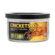 Picture of EXO TERRA Canned Crickets XL - 34g/1.20oz 