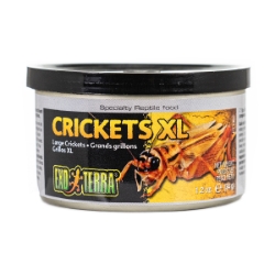 Picture of EXO TERRA Canned Crickets XL - 34g/1.20oz 
