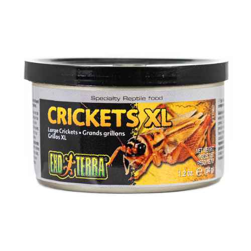 Picture of EXO TERRA Canned Crickets XL - 34g/1.20oz 