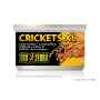 Picture of EXO TERRA Canned Crickets XL - 34g/1.20oz 