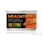 Picture of EXO TERRA Canned Mealworms - 34g/1.20oz