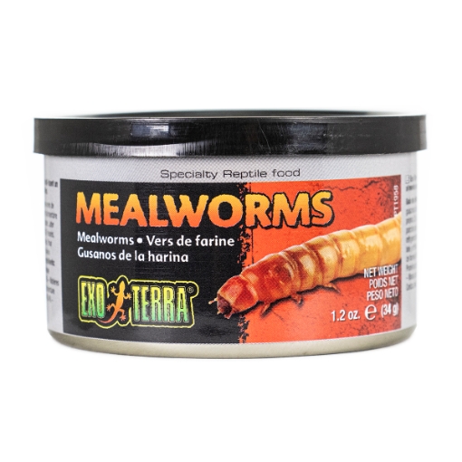 Picture of EXO TERRA Canned Mealworms - 34g/1.20oz