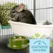 Picture of OXBOW CHINCHILLA POOF! DUST BATH - 2lbs / 1.13kg