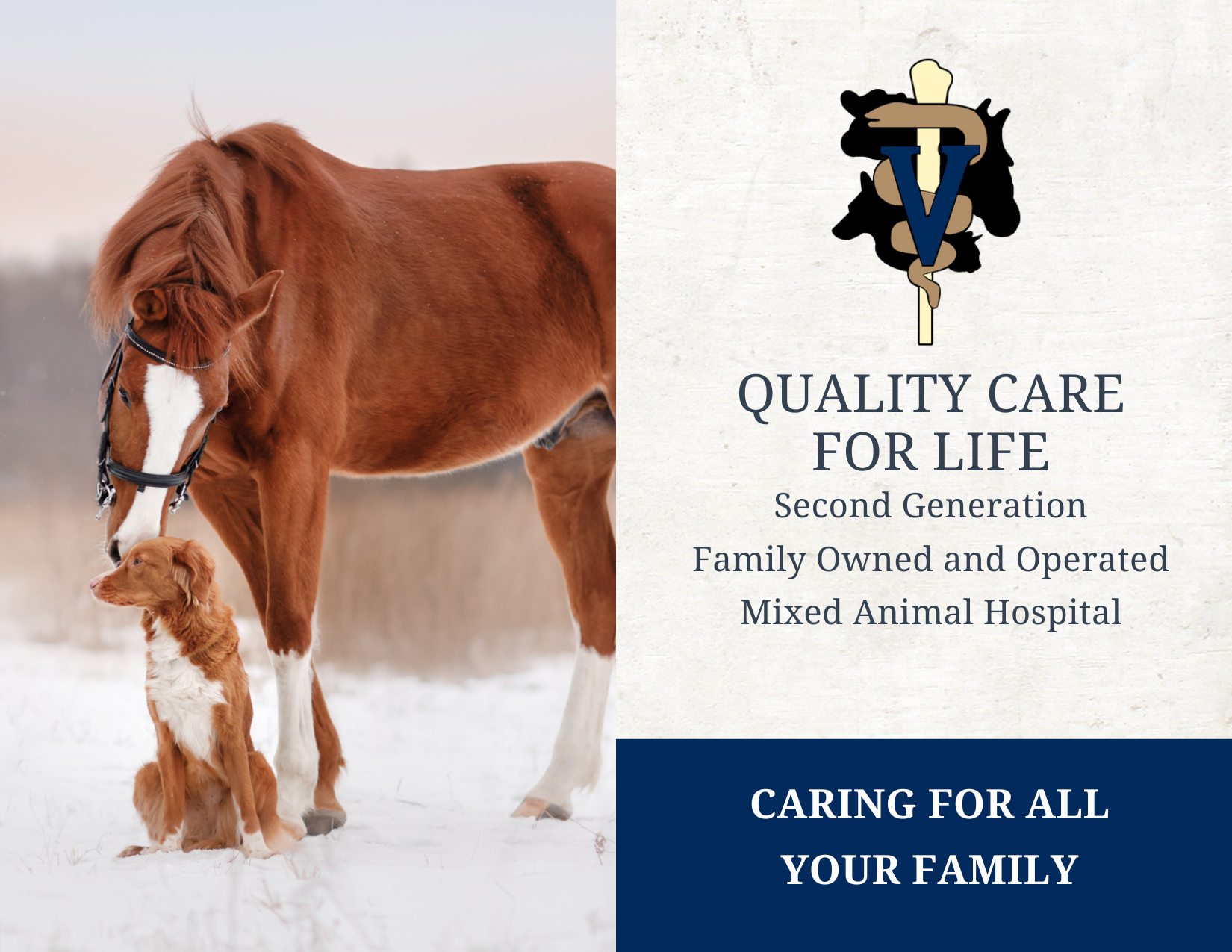 Equi-Tech Veterinary, Mixed Animal Hospital