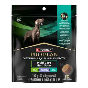 Show details for CANINE PVD MULTI CARE SUPPLEMENT for DOGS - 150gm Picture of CANINE PVD MULTI CARE SUPPLEMENT for DOGS - 150gm