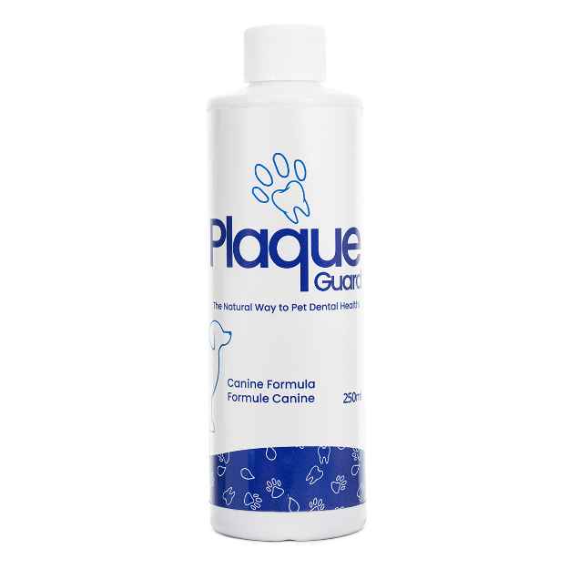 Picture of PLAQUE GUARD FELINE FORMULA - 250ml 