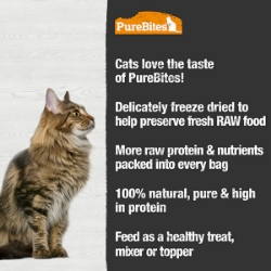 Picture of TREAT PUREBITES FELINE Duck Liver - 1.05oz/30g