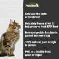 Picture of TREAT PUREBITES FELINE Beef Liver - 1.55oz / 44g