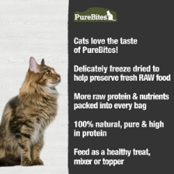 Picture of TREAT PUREBITES FELINE Beef Liver - 1.55oz/44g