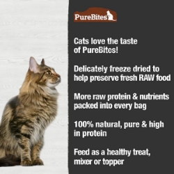 Picture of TREAT PUREBITES FELINE Turkey - 0.92oz/26g