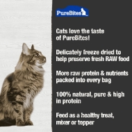 Picture of TREAT PUREBITES FELINE Ocean Medley - 0.77oz / 22g