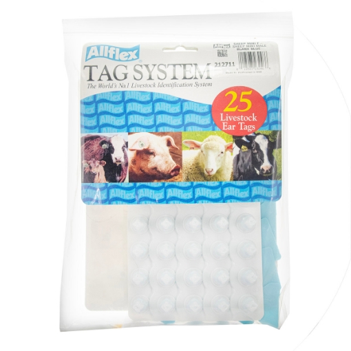 Picture of ALLFLEX TAG SHEEP MINI BLANK Blue - 25/bag