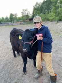 Picture for category Bovine Products