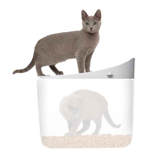 Picture of CAT LITTER BOX CATIT PIXI - 16 x 20.5 x 19 in