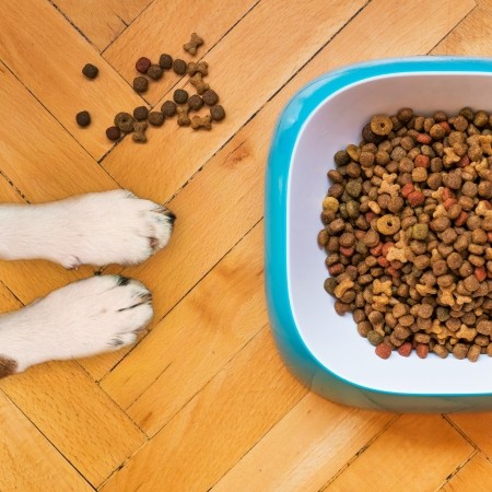 Picture for category Canadian Dog Food